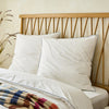 White 400 Thread Count Piped Edge Square Pillowcase Pair with Grey Trim