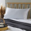 Ice Grey 1000 Thread Count Luxurious Superking Pillowcase x1
