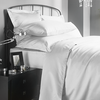 1000 Thread Count Fitted Sheet KING